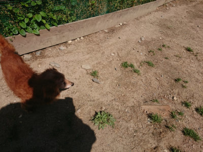 f:id:roukenhome-ann:20190524171322j:plain