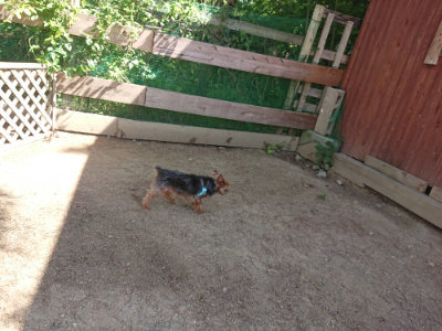 f:id:roukenhome-ann:20190524171338j:plain