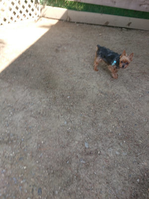 f:id:roukenhome-ann:20190524171346j:plain