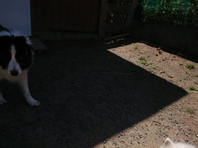 f:id:roukenhome-ann:20190524171355j:plain