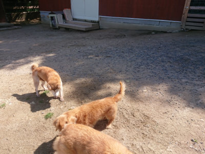 f:id:roukenhome-ann:20190524171404j:plain