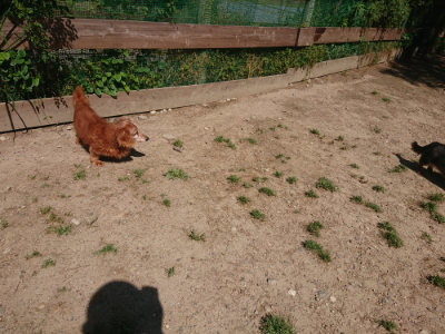 f:id:roukenhome-ann:20190524171411j:plain