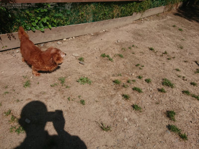 f:id:roukenhome-ann:20190524171427j:plain