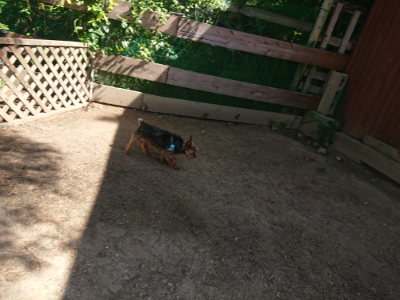 f:id:roukenhome-ann:20190524171435j:plain