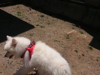 f:id:roukenhome-ann:20190524171444j:plain
