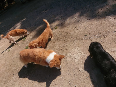 f:id:roukenhome-ann:20190524171454j:plain
