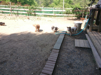 f:id:roukenhome-ann:20190524171759j:plain