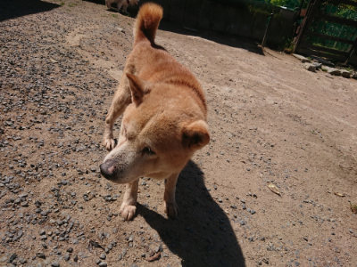 f:id:roukenhome-ann:20190524171808j:plain