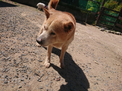 f:id:roukenhome-ann:20190524171815j:plain