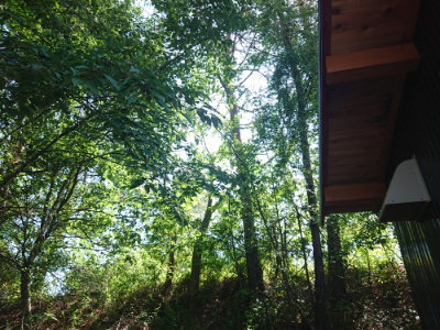 f:id:roukenhome-ann:20190524171857j:plain