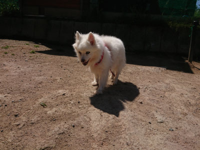 f:id:roukenhome-ann:20190524171917j:plain
