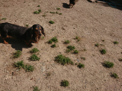 f:id:roukenhome-ann:20190524171936j:plain