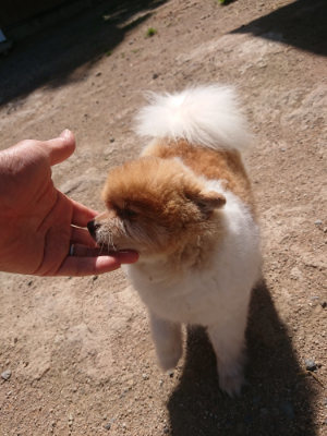 f:id:roukenhome-ann:20190524172018j:plain
