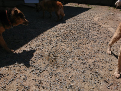 f:id:roukenhome-ann:20190524172055j:plain