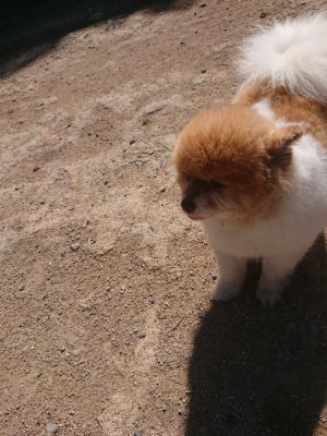 f:id:roukenhome-ann:20190524172110j:plain