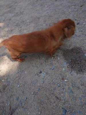 f:id:roukenhome-ann:20190524173815j:plain