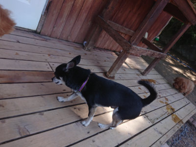 f:id:roukenhome-ann:20190524173904j:plain
