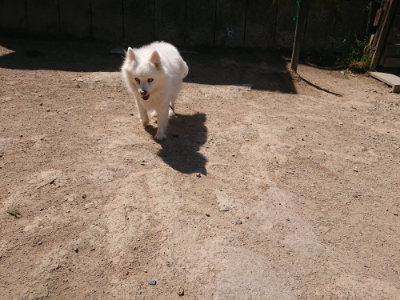 f:id:roukenhome-ann:20190524173910j:plain