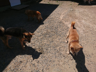 f:id:roukenhome-ann:20190524173939j:plain