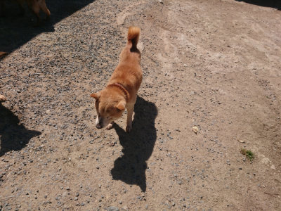 f:id:roukenhome-ann:20190524173943j:plain