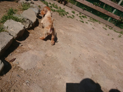 f:id:roukenhome-ann:20190524173951j:plain