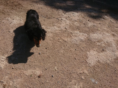 f:id:roukenhome-ann:20190524173956j:plain