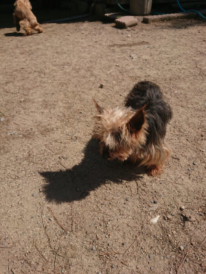 f:id:roukenhome-ann:20190524174023j:plain