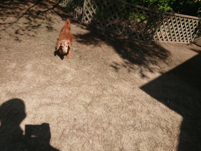 f:id:roukenhome-ann:20190524174030j:plain