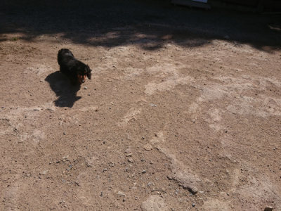 f:id:roukenhome-ann:20190524174036j:plain