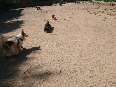 f:id:roukenhome-ann:20190524174046j:plain