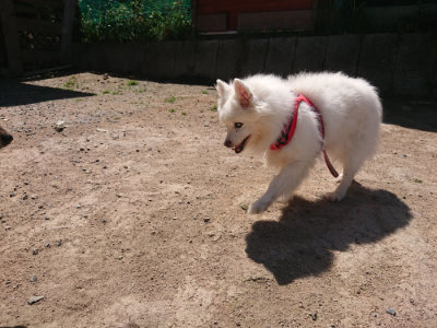 f:id:roukenhome-ann:20190524174053j:plain