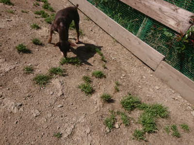 f:id:roukenhome-ann:20190524174122j:plain