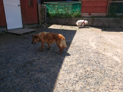 f:id:roukenhome-ann:20190524174219j:plain