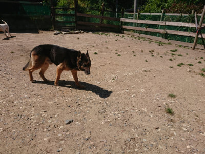 f:id:roukenhome-ann:20190524174224j:plain