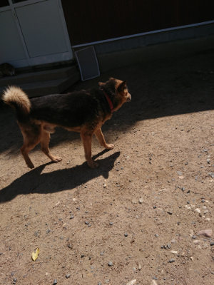 f:id:roukenhome-ann:20190524174230j:plain