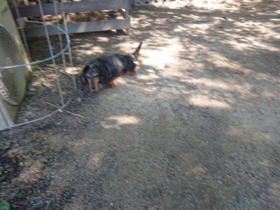 f:id:roukenhome-ann:20190524174336j:plain