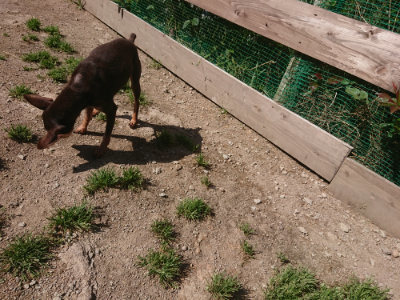 f:id:roukenhome-ann:20190524174354j:plain