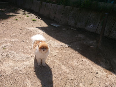 f:id:roukenhome-ann:20190524174359j:plain