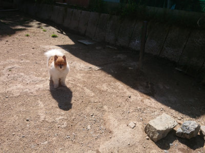 f:id:roukenhome-ann:20190524174413j:plain
