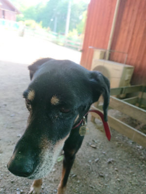 f:id:roukenhome-ann:20190525173354j:plain