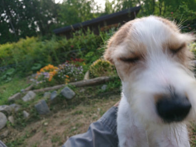 f:id:roukenhome-ann:20190525174532j:plain