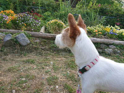 f:id:roukenhome-ann:20190525174544j:plain