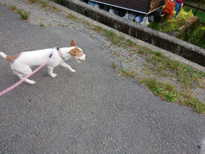 f:id:roukenhome-ann:20190525175437j:plain