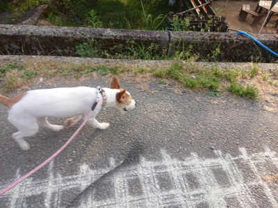 f:id:roukenhome-ann:20190525175452j:plain