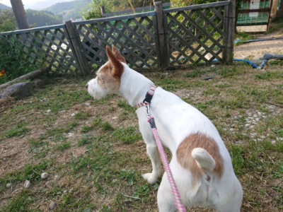 f:id:roukenhome-ann:20190525175454j:plain