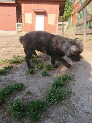 f:id:roukenhome-ann:20190526180410j:plain