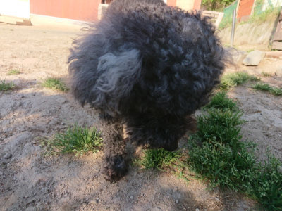 f:id:roukenhome-ann:20190526180418j:plain