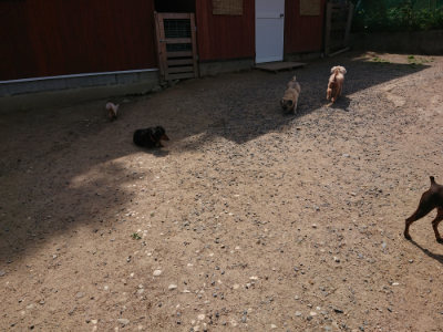f:id:roukenhome-ann:20190527142152j:plain