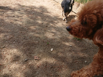 f:id:roukenhome-ann:20190527142157j:plain