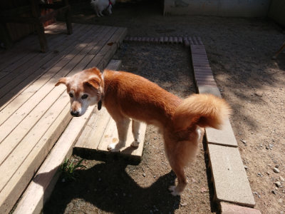 f:id:roukenhome-ann:20190527142239j:plain